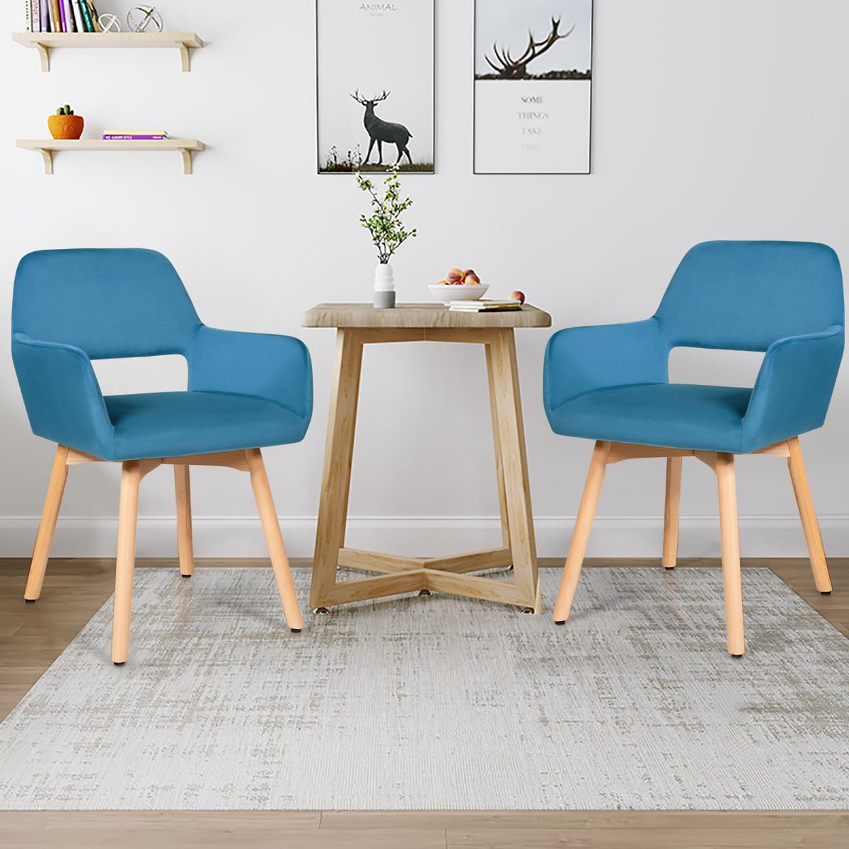 Premium Modern Dining Chairs